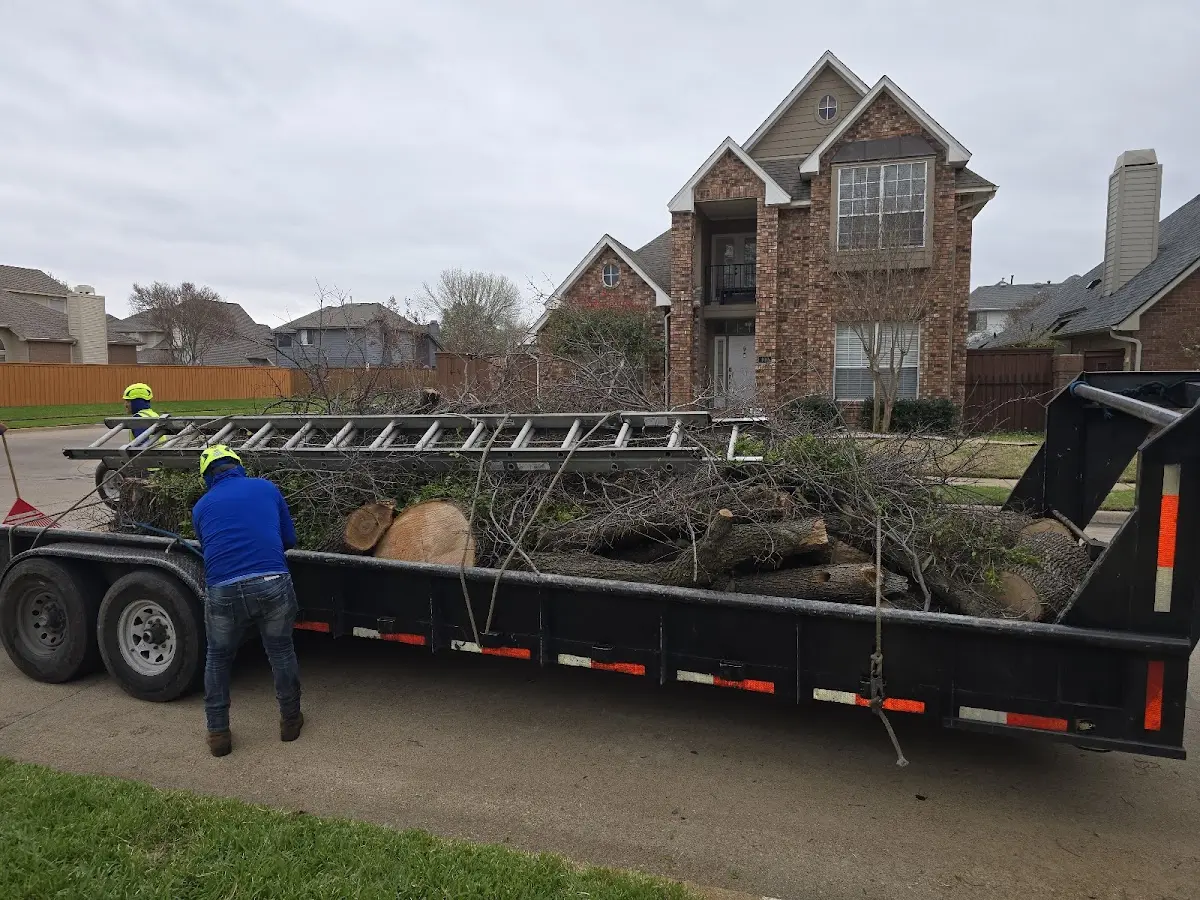 Expert Tree Fertilization with proper safety equipment in Casstown